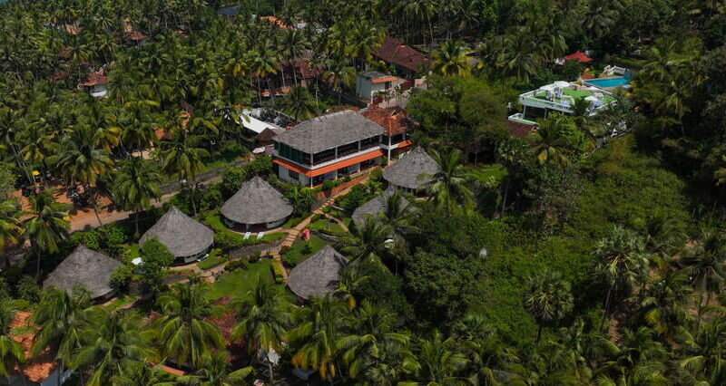 Nikki's Nest aus der Vogelperspektive